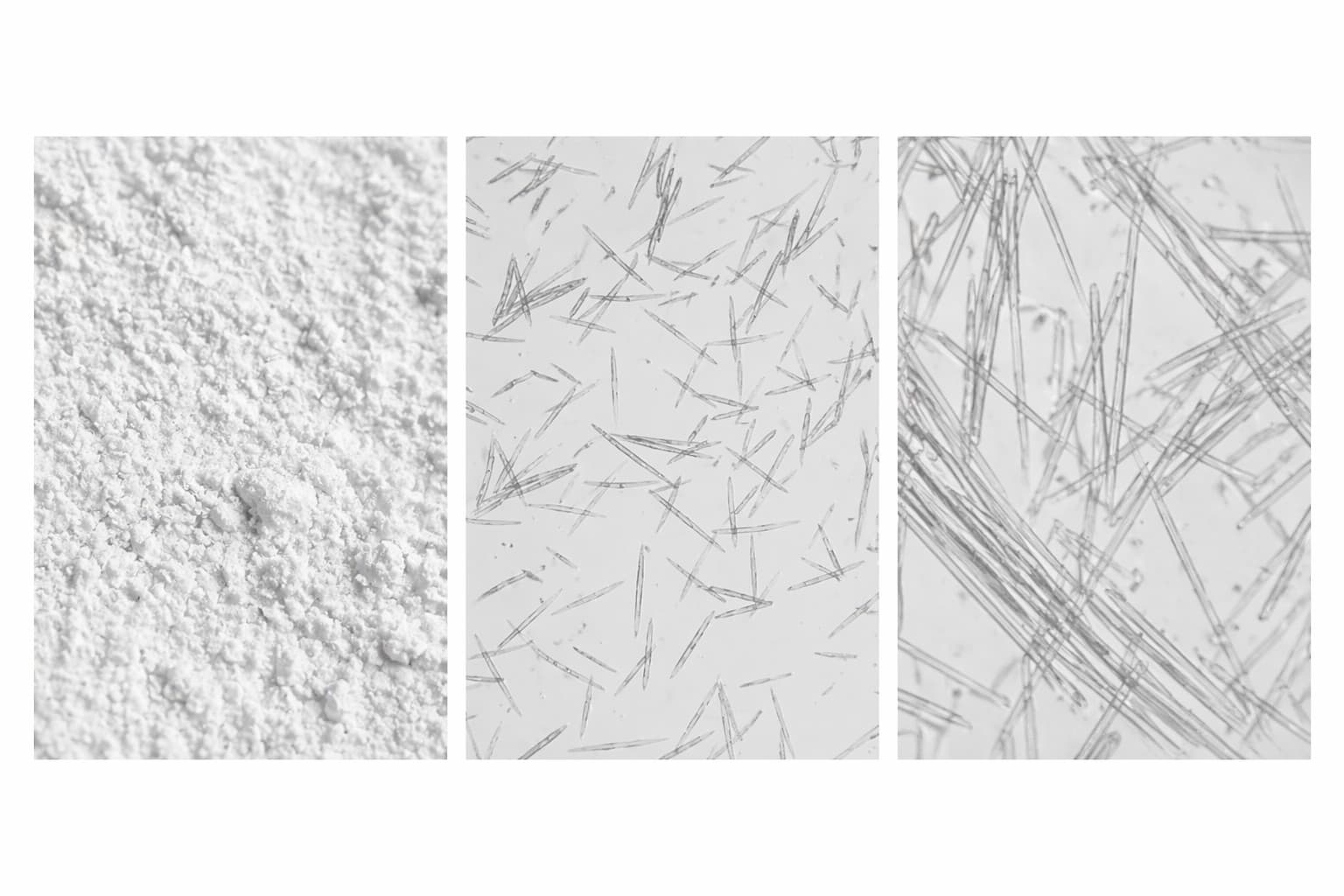 What is Spicule?
